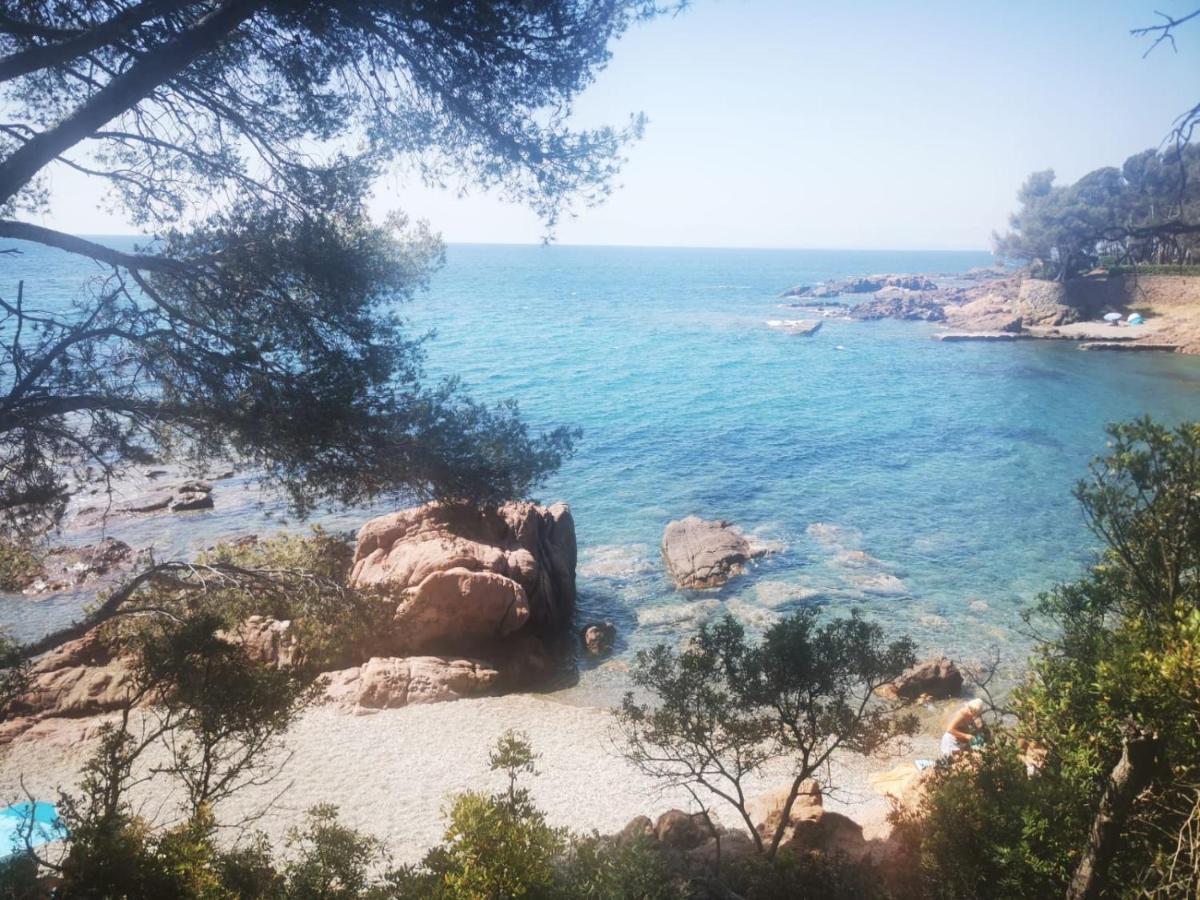 Mobil Home Neuf Camping L Ile Dor Plage St Raphael Avec Piscine Saint-Raphael  Bagian luar foto